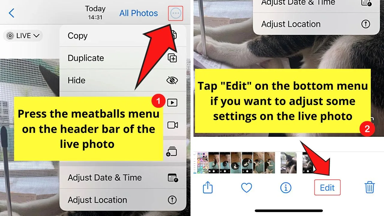 How to Post Live Photos on Instagram by Converting Live Photo to a Video Step 4