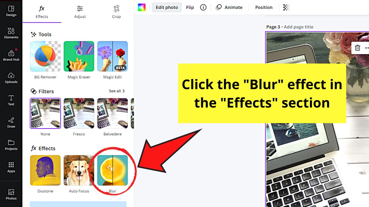 How to Blur The Whole Image in Canva 2023 Step 3