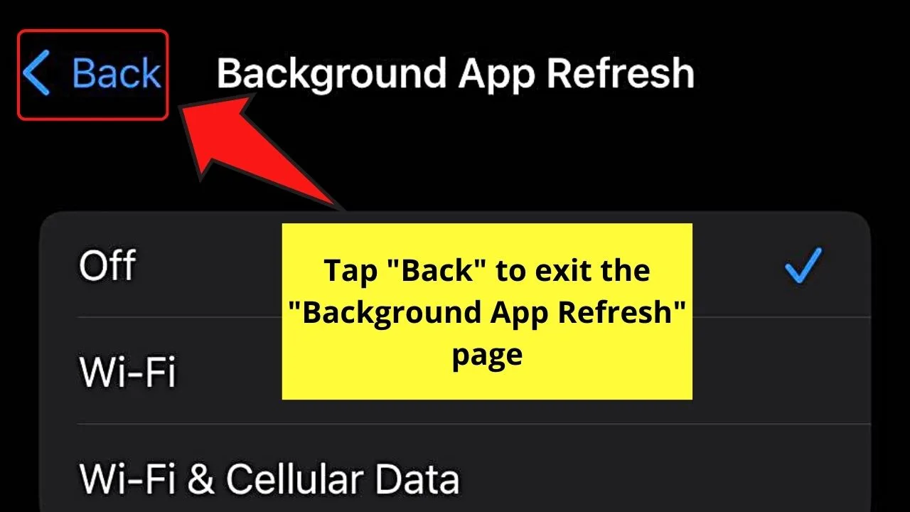 Allowing Background Data Usage When Spotify Keeps Pausing (iPhone) Step 4