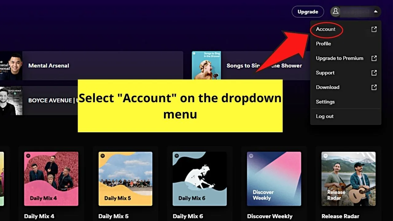 Change your Password When Spotify Keeps Pausing Step 3