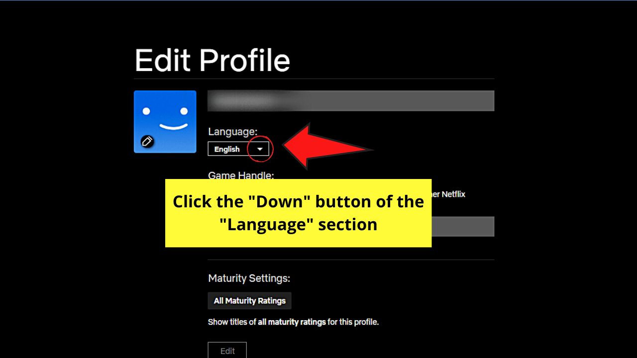 How to Change the Display Language on Netflix (Desktop) Step 3