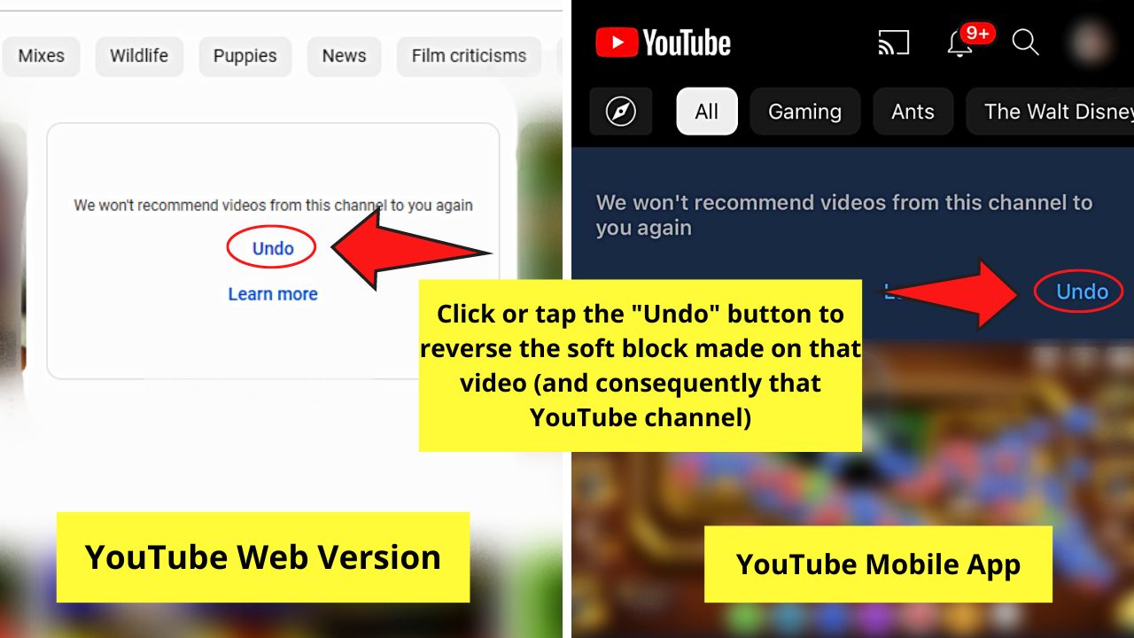 Soft Blocking Videos from Appearing on Your Feed (Web or Mobile) Step 2