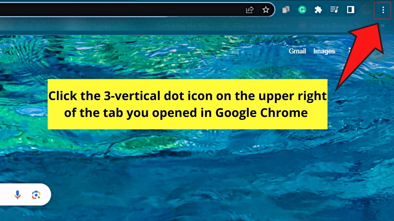 How to View Your Google Chrome Saved Passwords (Desktop) Step 1
