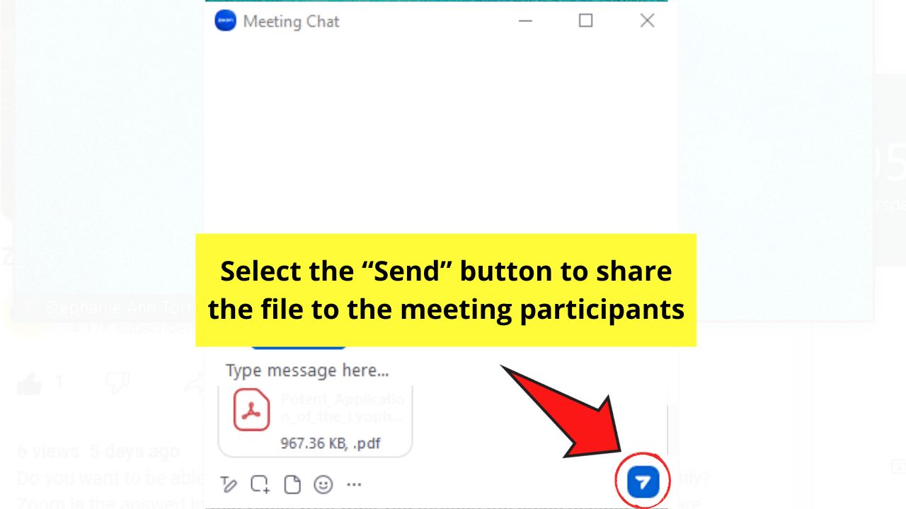 How to Share Screen and Share Files in Zoom Step 9